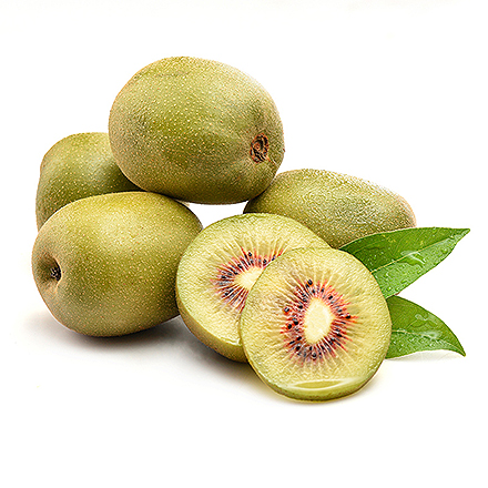 开云登录平台产品中心八